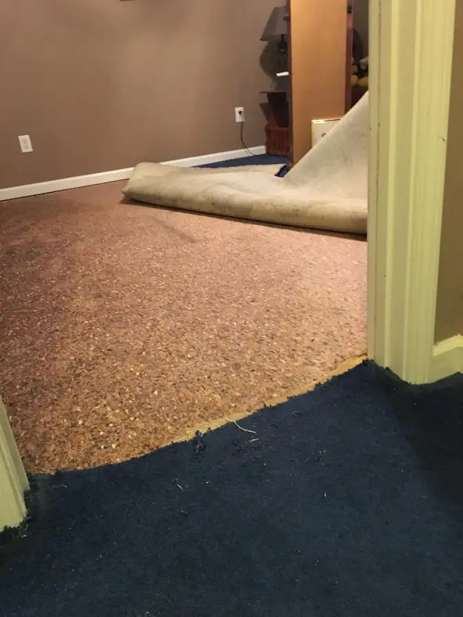 Carpet pad removal revealing water damage during Water Mitigation Services in Peabody