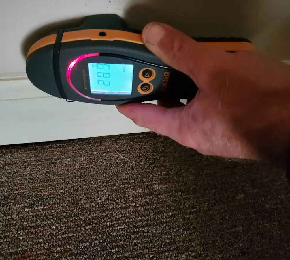 Moisture detection at baseboard during Mold Inspection & Testing in Peabody